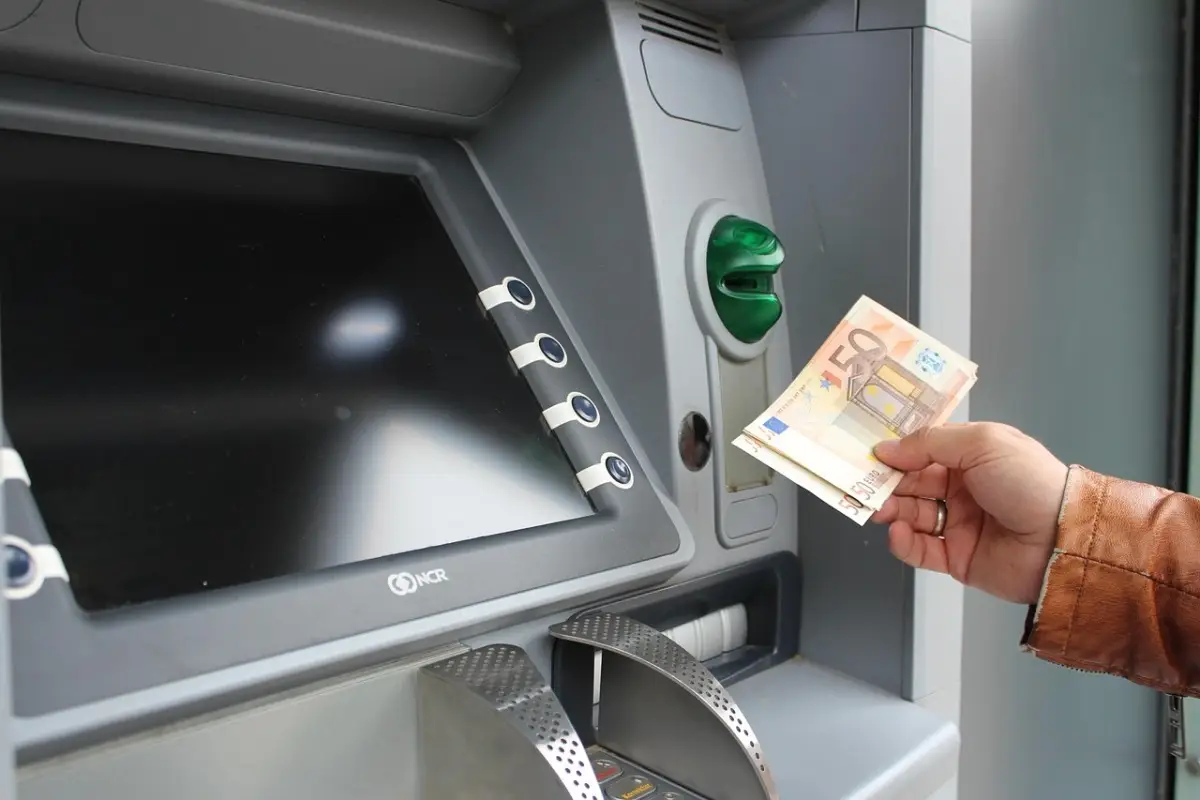 Immagine selezionata