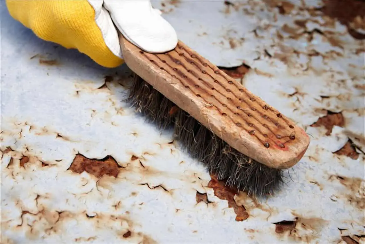 Immagine selezionata