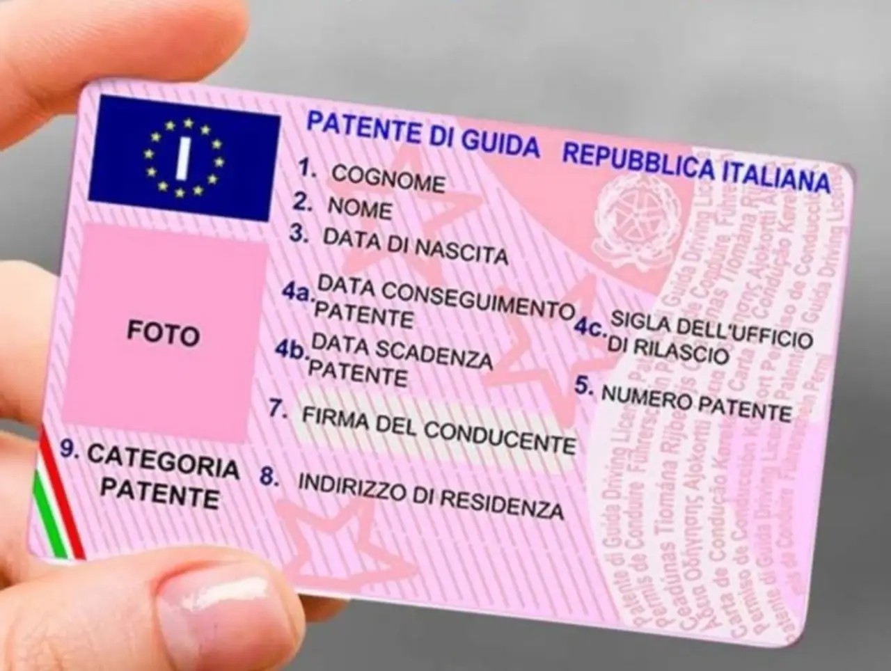 Immagine selezionata